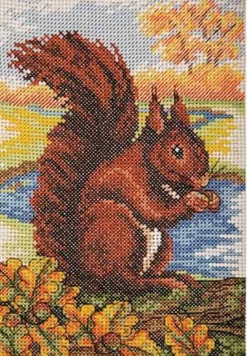 Anchor Cross Stitch Kit - Red Squirrel