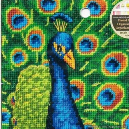 Dimensions Needlepoint Tapestry Kit - Colourful Peacock